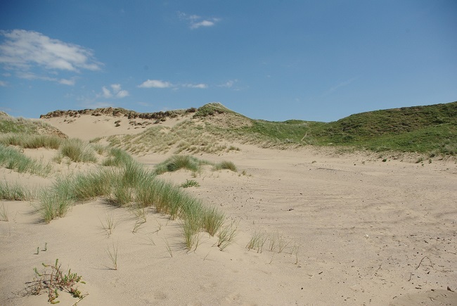 Merthyr Mawr by Sean McHugh